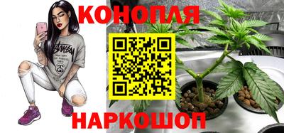 соль ск Будённовск