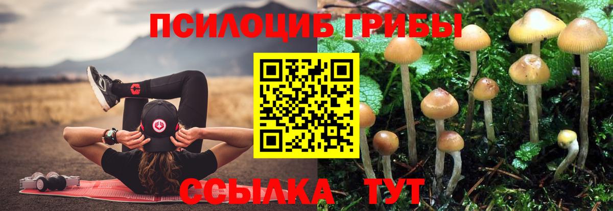 Галлюциногенные грибы MAGIC MUSHROOMS  Вход с VPN  купить наркотики сайты  Канск 